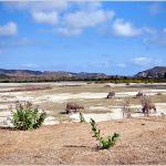 Tanjung Aan Beach