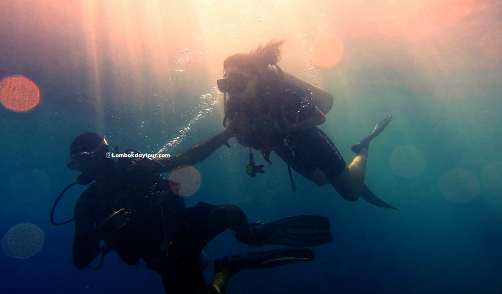 discovery dive lombok