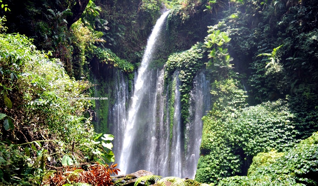 Rinjani Waterfall Tour