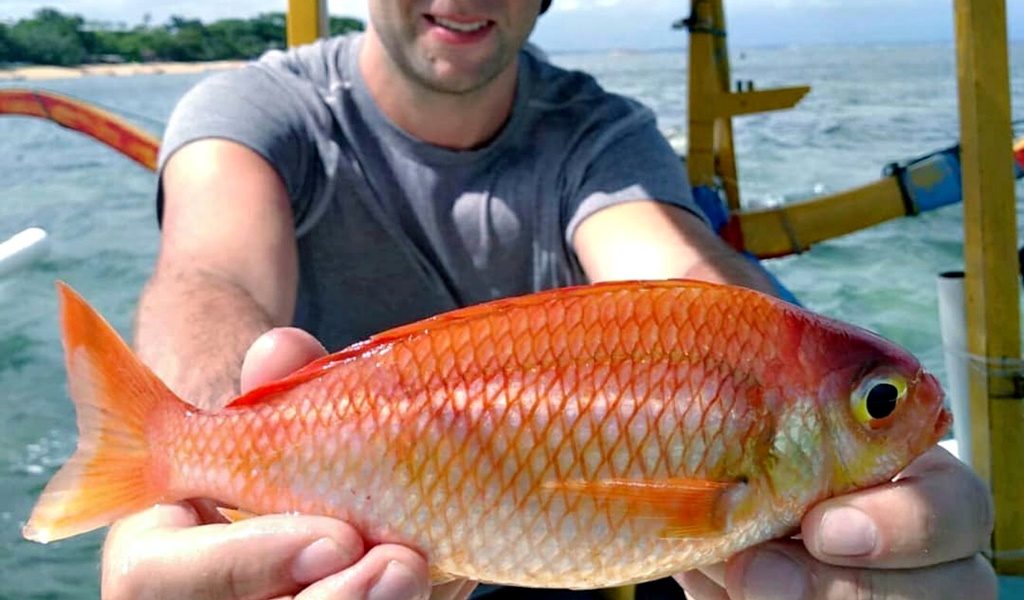 Lombok Fishing Tour