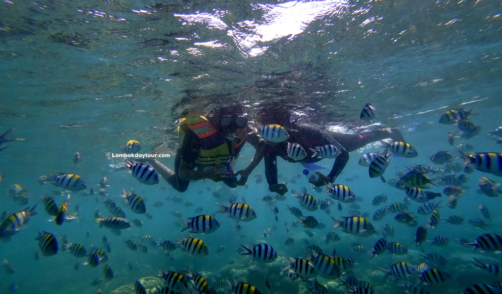 Gili Nanggu Snorkeling Tour